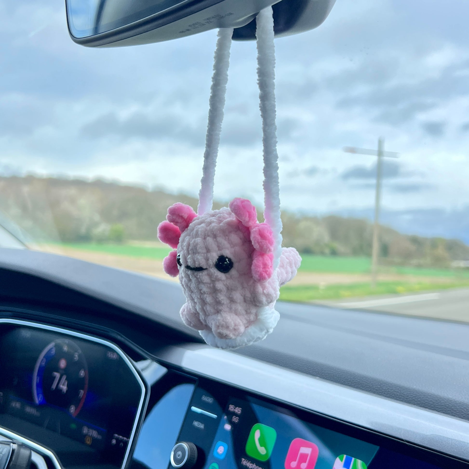 Decoration de retroviseur axolotl en crochet sur sa balancoire